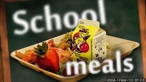 Covid-19 Meals